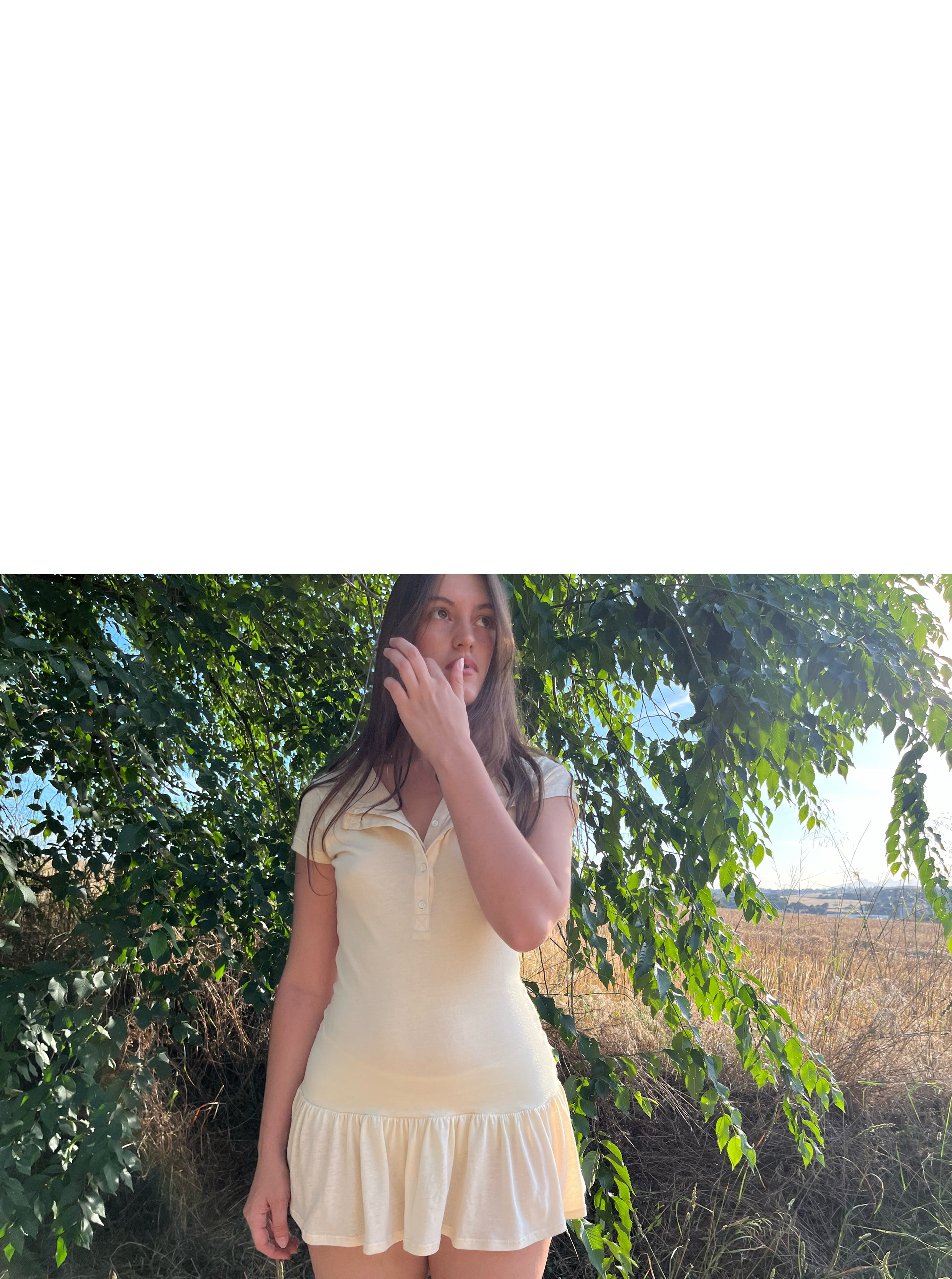 Ombreta